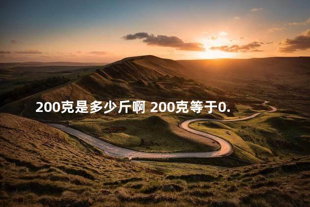 200克是多少斤啊 200克等于0.2千克吗